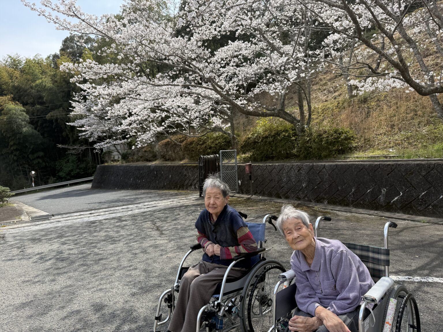 桜の咲く庭園で車椅子の入居者2名が春を楽しむ風景